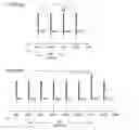 Fig. 51 - Moving picture coding method, and moving picture decoding method