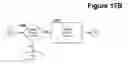 Fig. 19 - MULTIMEDIA NETWORK SYSTEM WITH CONTENT IMPORTATION, CONTENT EXPORTATION, AND INTEGRATED CONTENT MANAGEMENT