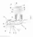 Fig. 04 - POSITIONED HEARING SYSTEM