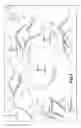 Fig. 07 - Mobile cellular networks