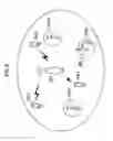 Fig. 05 - Communication control method, user terminal, cellular base station, and access point
