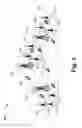 Fig. 03 - Network assisted parameter estimation in the presence of inter-cell interference
