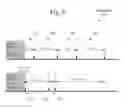 Fig. 07 - Systems and methods for improved transitions continuity between wireless protocols