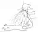 Fig. 01 - Pet washing collar