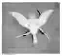 Fig. 02 - Remotely Controllable Flying Decoy