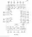 Fig. 43 - Systems and methods for ex-vivo organ care