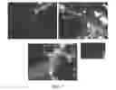 Fig. 07 - Compositions and methods for the removal of biofilms