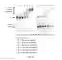 Fig. 09 - Compositions and methods for the removal of biofilms