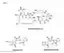 Fig. 08 - Chromobacterium bioactive compositions and metabolites