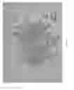 Fig. 05 - Method for producing a high protein food