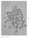 Fig. 06 - Method for producing a high protein food