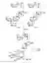Fig. 17 - Non-caloric sweeteners and methods for synthesizing