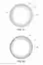 Fig. 04 - Methods and compositions for producing hydrogel capsules coated for low permeability and physical integrity