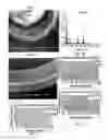 Fig. 08 - Methods and compositions for producing hydrogel capsules coated for low permeability and physical integrity