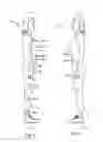 Fig. 04 - Innerwear pocket system and method