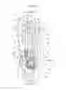 Fig. 03 - Insole for shoe