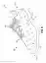 Fig. 09 - Article of footwear with sensory elements