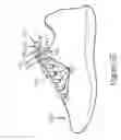 Fig. 09 - KNOT RETAINER