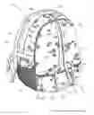 Fig. 01 - Backpack with stabilizing handles