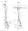 Fig. 03 - Drop-prevention apparatus for a rolled product