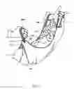 Fig. 02 - Carrying Sling for a Child