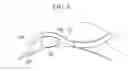 Fig. 07 - ENDOSCOPE