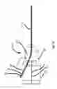 Fig. 16 - LASER VIDEO ENDOSCOPE