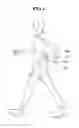 Fig. 02 - Method and apparatus for recognizing gait motion