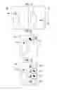 Fig. 07 - Medical imaging apparatus and method for displaying a selected region of interest