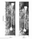 Fig. 01 - METHOD AND DEVICE FOR QUANTITATIVE DYNAMIC EVALUATION OF SKELETAL MUSCLES FUNCTIONALITY