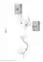 Fig. 03 - DIAGNOSIS SUPPORTING APPARATUS AND DIAGNOSIS SUPPORTING METHOD