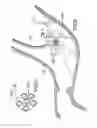 Fig. 47 - CARTRIDGE WITH MULTI-CLIP DISPENSING PROVISIONS