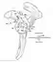 Fig. 01 - System and method for assisting with arrangement of a stock instrument with respect to a patient tissue