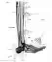 Fig. 35 - Clamping device for use with an anatomic external fixation system