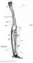 Fig. 26 - Anatomic external fixation system