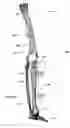 Fig. 26 - Anatomic external fixation system for the ankle