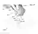 Fig. 45 - Anatomic external fixation system for the ankle