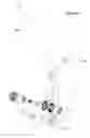 Fig. 55 - Anatomic external fixation system for the ankle