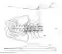 Fig. 01 - SPINAL IMPLANT SYSTEM AND METHOD