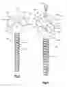 Fig. 04 - Spinal stabilizing and guiding fixation system