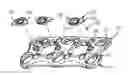 Fig. 01 - LOCKING MECHANISM FOR A CERVICAL FIXATION PLATE