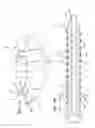 Fig. 08 - Orthopedic screw