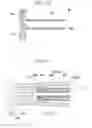 Fig. 16 - Vaginal wall incision instrument
