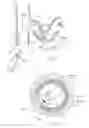 Fig. 32 - Catheter Apparatuses, Systems, and Methods for Renal Neuromodulation