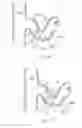 Fig. 35 - Catheter Apparatuses, Systems, and Methods for Renal Neuromodulation