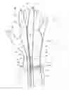 Fig. 01 - Surgical glove systems and method of using the same