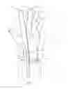 Fig. 14 - Surgical glove systems and method of using the same