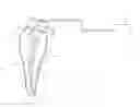 Fig. 01 - Apparatus and methods for cleaning teeth and root canals