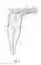 Fig. 11 - Apparatus and methods for cleaning teeth and root canals