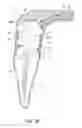 Fig. 13 - Apparatus and methods for cleaning teeth and root canals